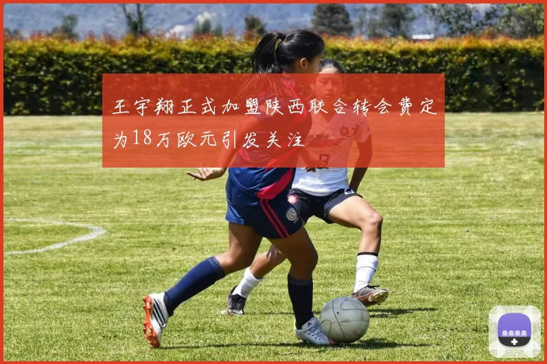 王宇翔正式加盟陕西联合转会费定为18万欧元引发关注