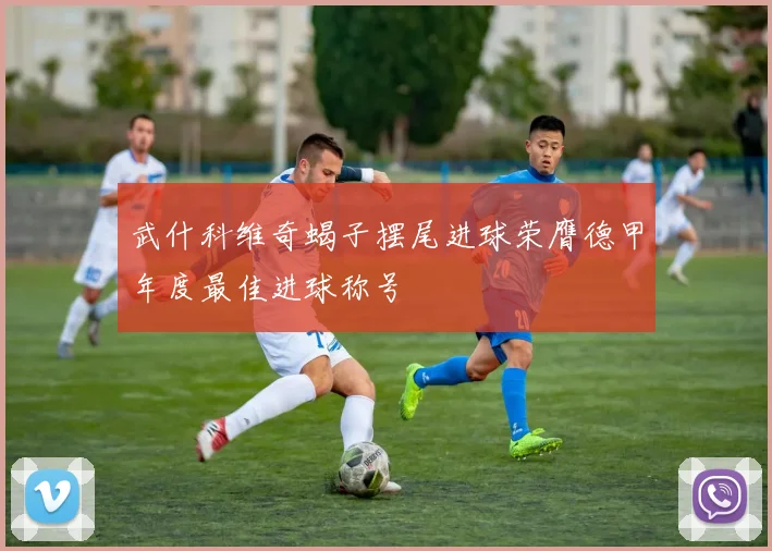 武什科维奇蝎子摆尾进球荣膺德甲年度最佳进球称号