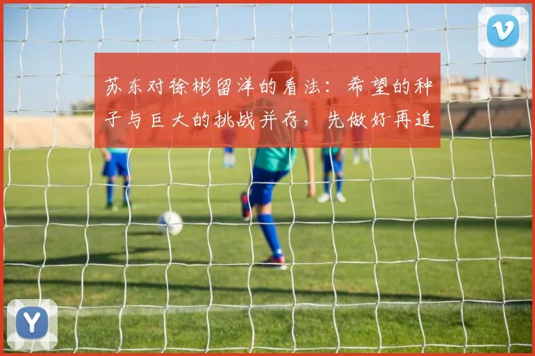 苏东对徐彬留洋的看法：希望的种子与巨大的挑战并存，先做好再追求完美